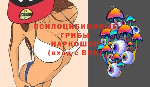 прущие грибы Баксан