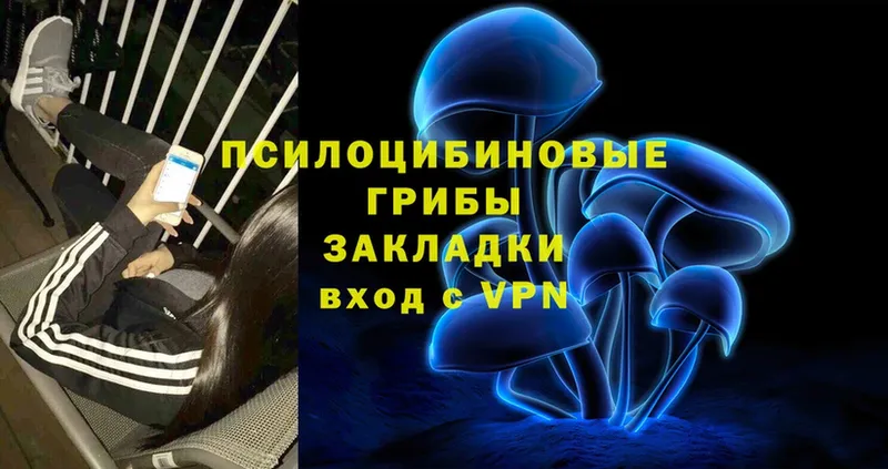 где продают наркотики  blacksprut как зайти  Галлюциногенные грибы Psilocybe  Рославль 