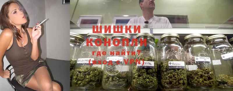 Конопля OG Kush  Рославль 